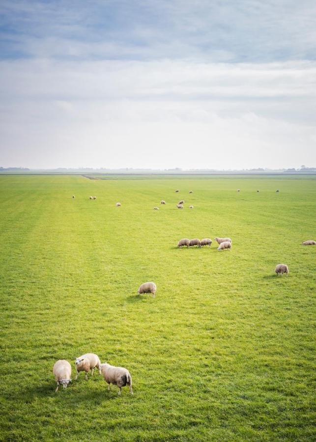 Ollediek Houwerzijl 外观 照片