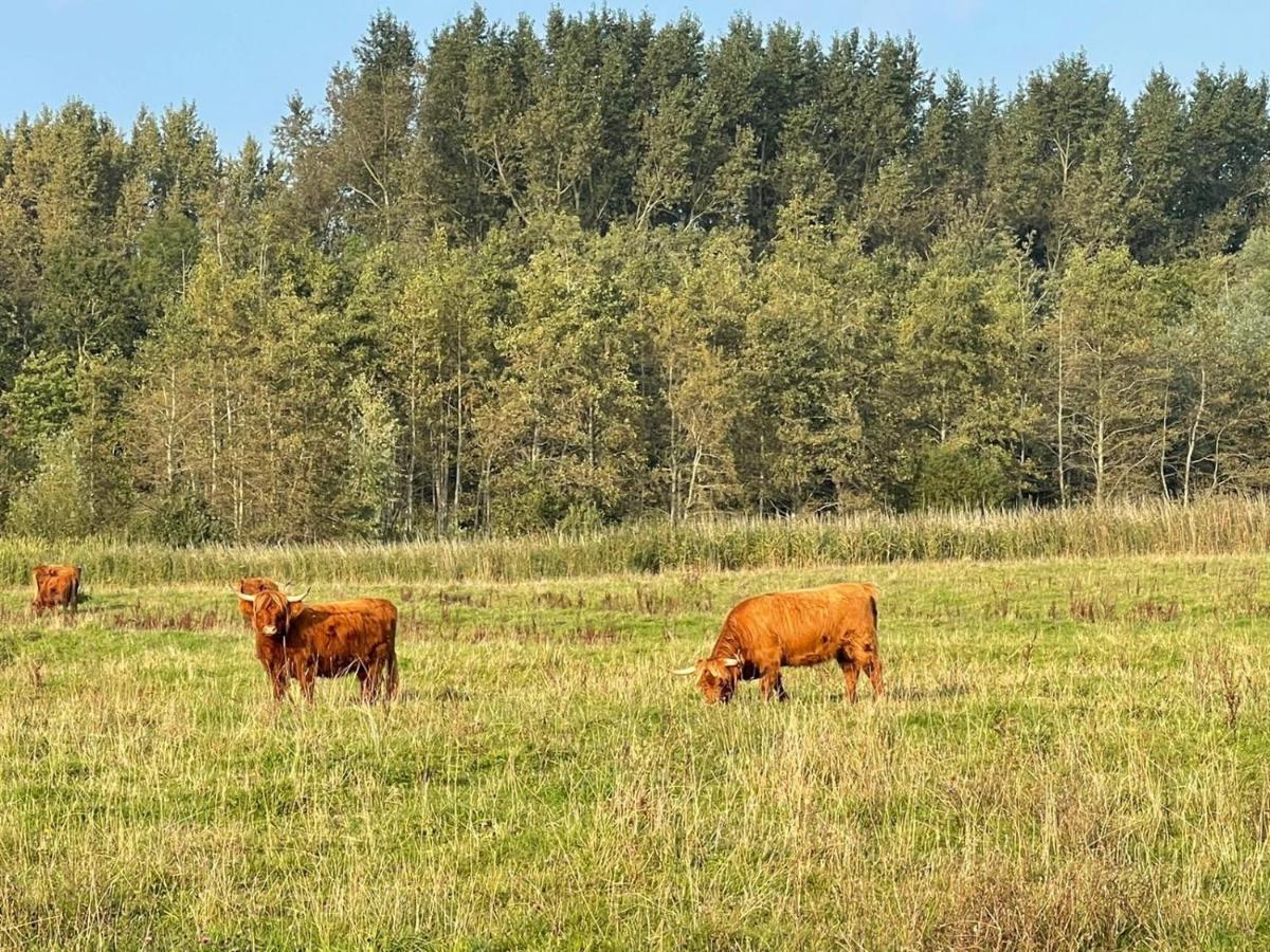 Ollediek Houwerzijl 外观 照片